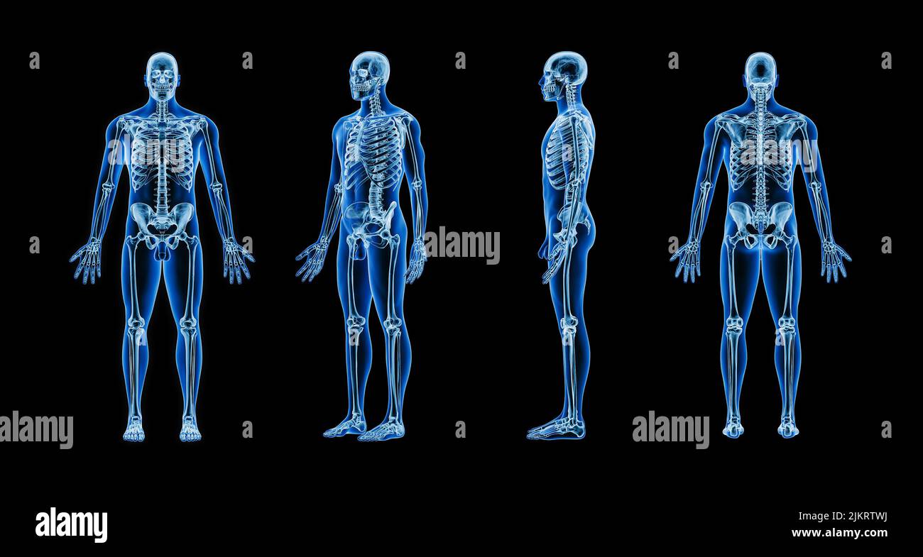 Immagine radiografica accurata del sistema scheletrico umano con contorni del corpo maschile per adulti su sfondo nero 3D illustrazione del rendering. Anatomia, osteologia, medicina, Foto Stock