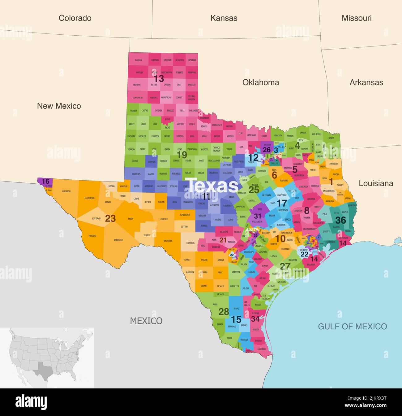 Le contee dello stato del Texas sono colorate da una mappa vettoriale dei distretti del Congresso con gli stati vicini e le terrotorie Illustrazione Vettoriale