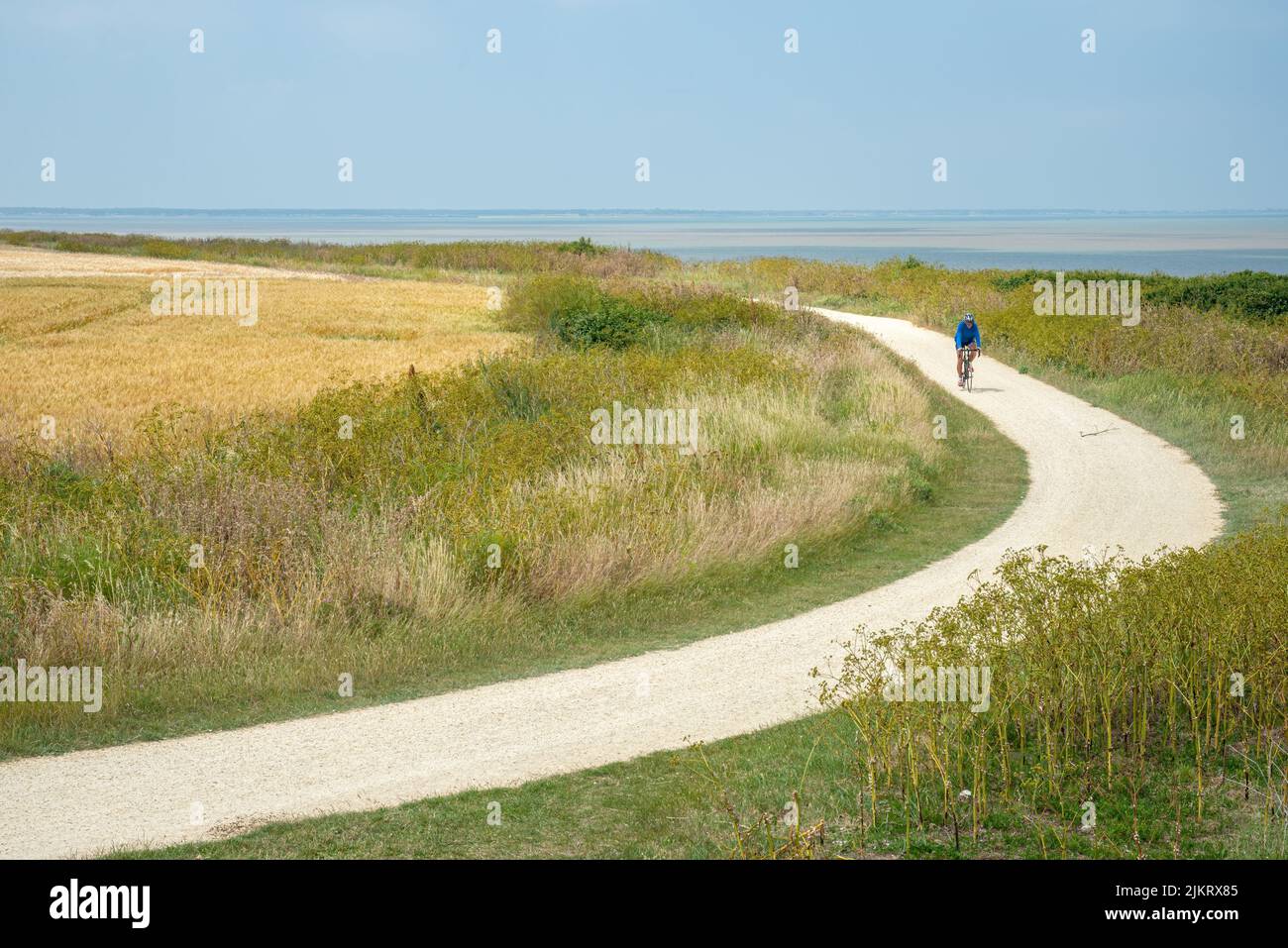 Ciclista Lone su pista ciclabile bianca curva costiera in campagna vicino a la Rochelle, Charente Maritime, Francia Foto Stock