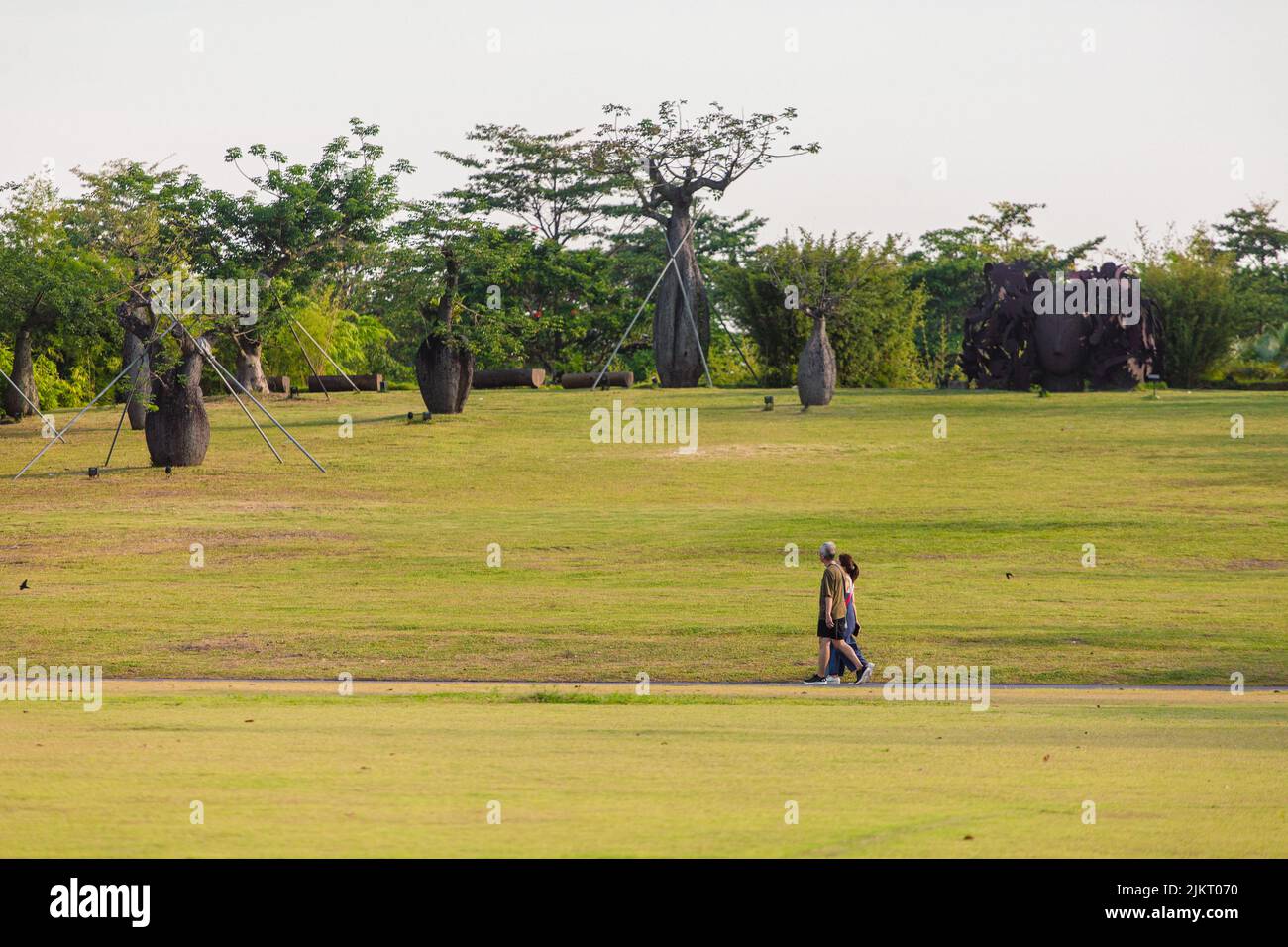 Due persone camminano nel vasto campo del Garden by the Bay. Un luogo rilassante per migliorare la tua salute mentale. Copyspace. Singapore. Foto Stock