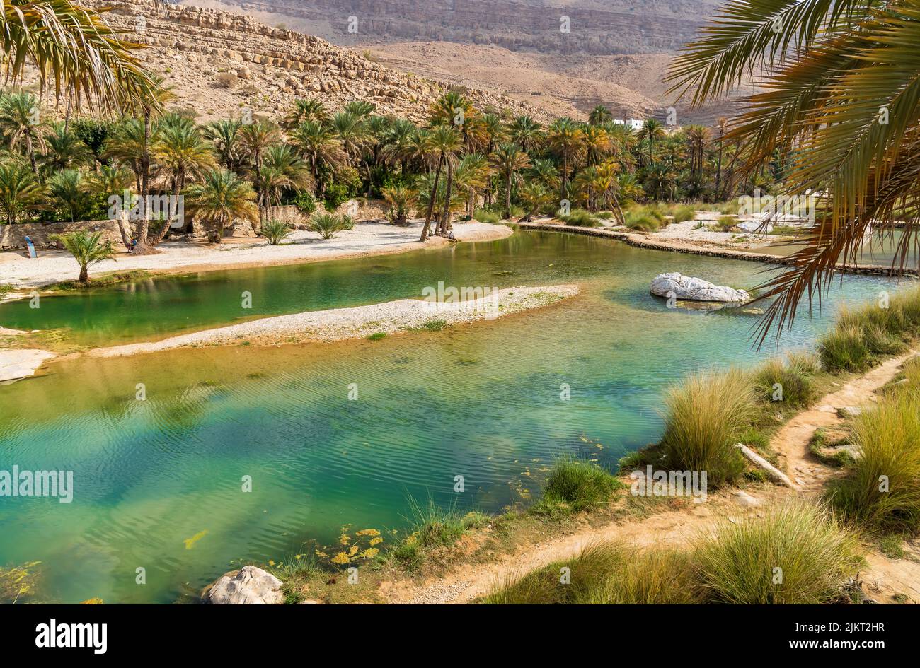 Vista dell'oasi di Wadi Bani Khalid nel deserto nel Sultanato dell'Oman. Foto Stock