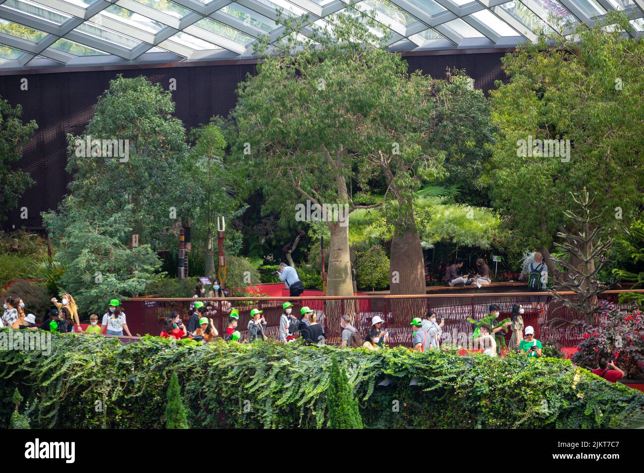 Gruppo di visitatori stranieri in tour per gruppi che visitano Gardens by the Bay. Flower Dome, Singapore. Foto Stock
