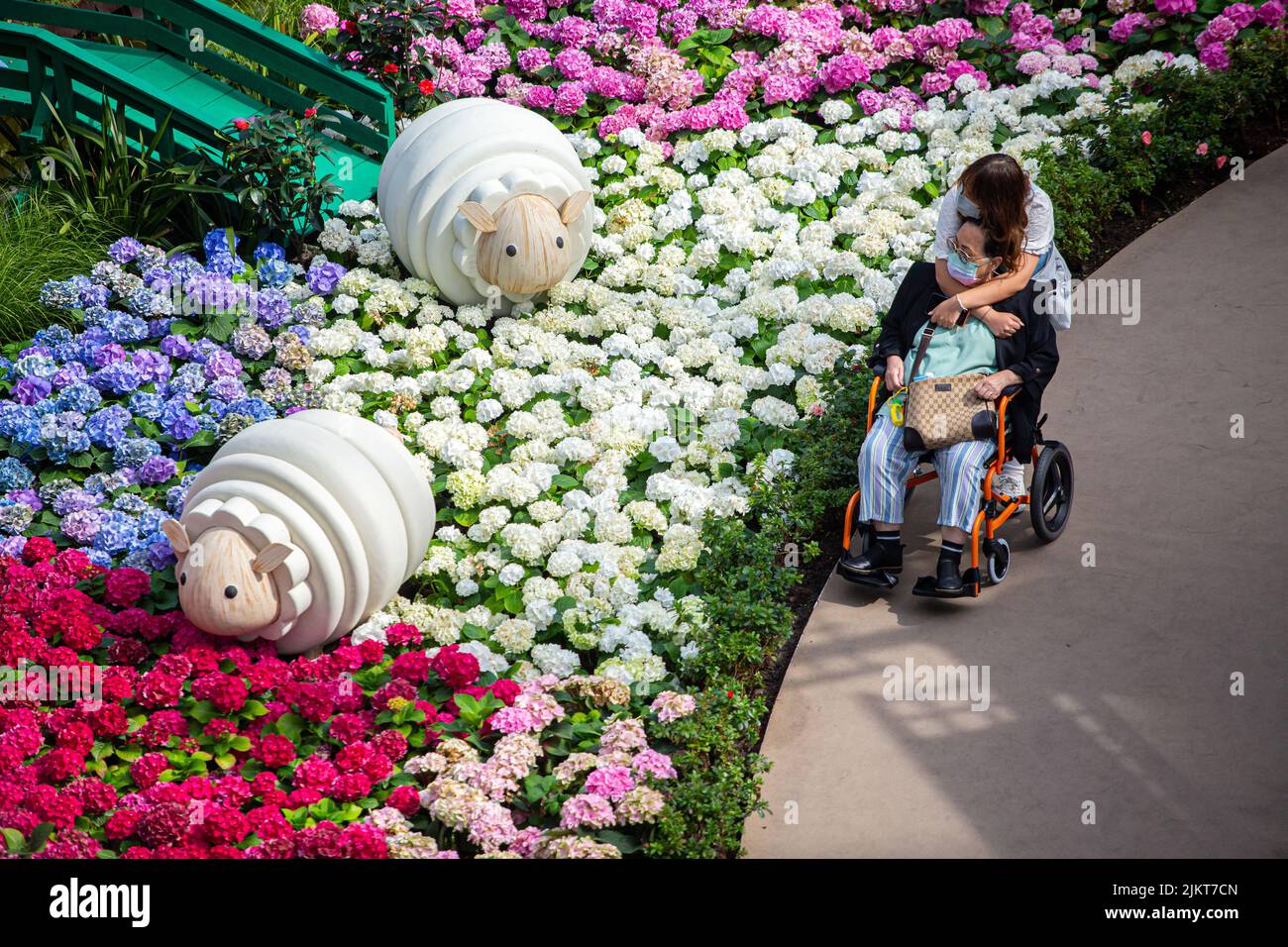 I membri della famiglia adorano guardare la splendida fioritura delle ortensie e le graziose pecore bianche in mostra. Gardens by the Bay, Singapore. Foto Stock