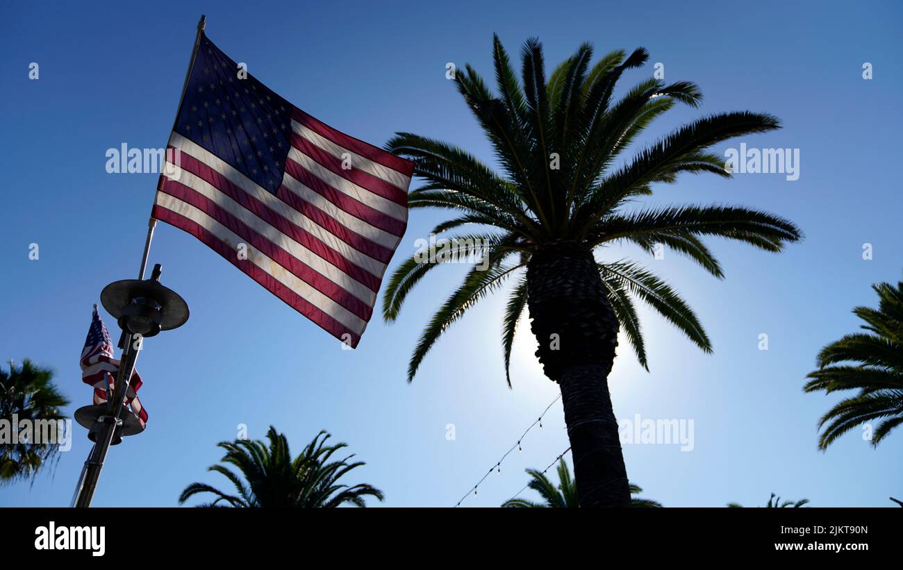 Una bandiera americana che sventola accanto a una silhouette di alcune palme sullo sfondo del cielo. Foto Stock