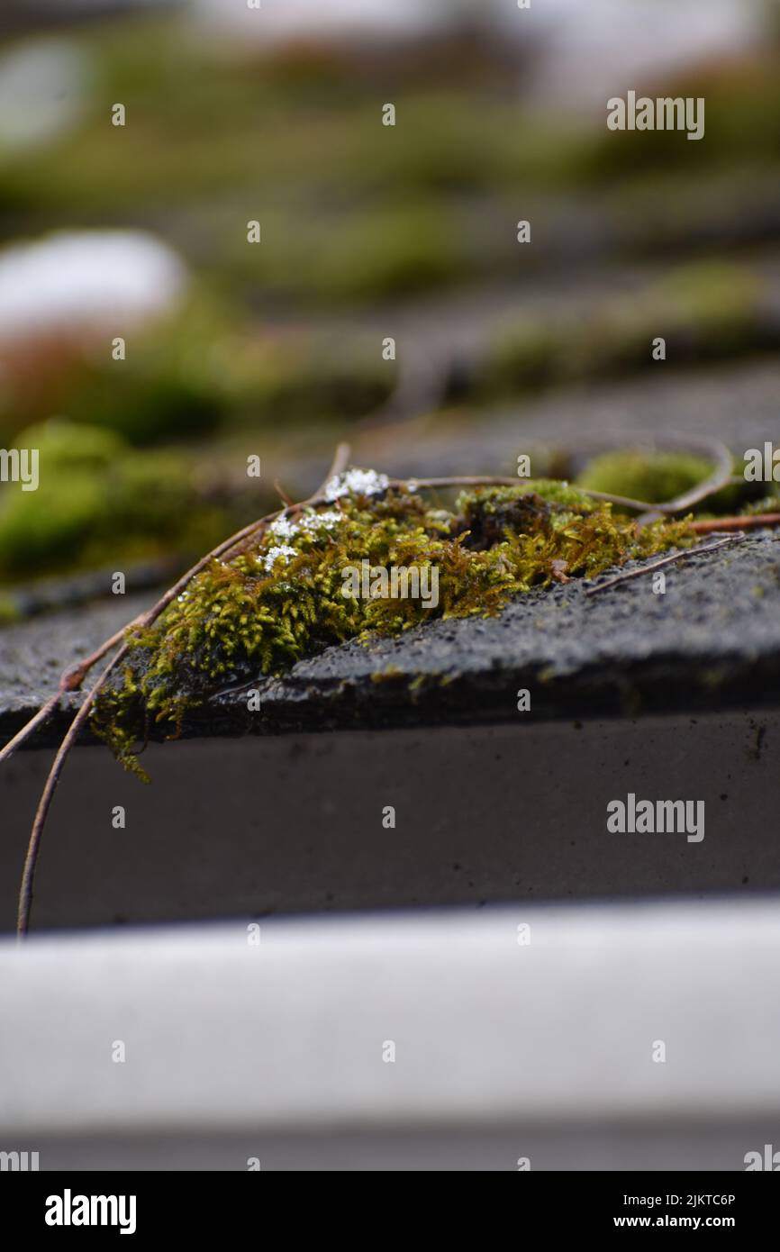 Un primo piano di alto dettaglio tetto lucido all'esterno Foto Stock