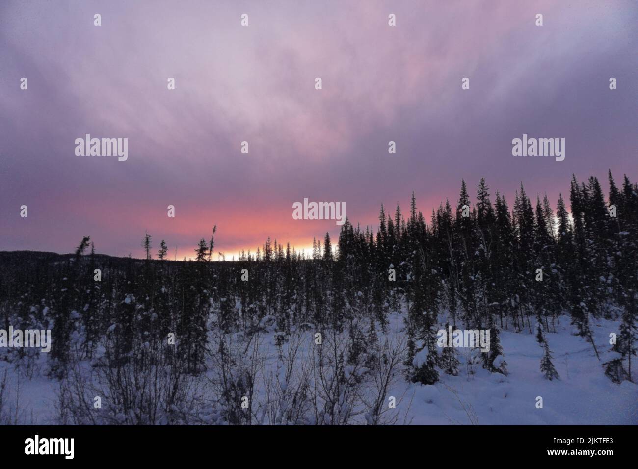 Un tramonto in una foresta dell'Alaska e nelle luci del nord Foto Stock