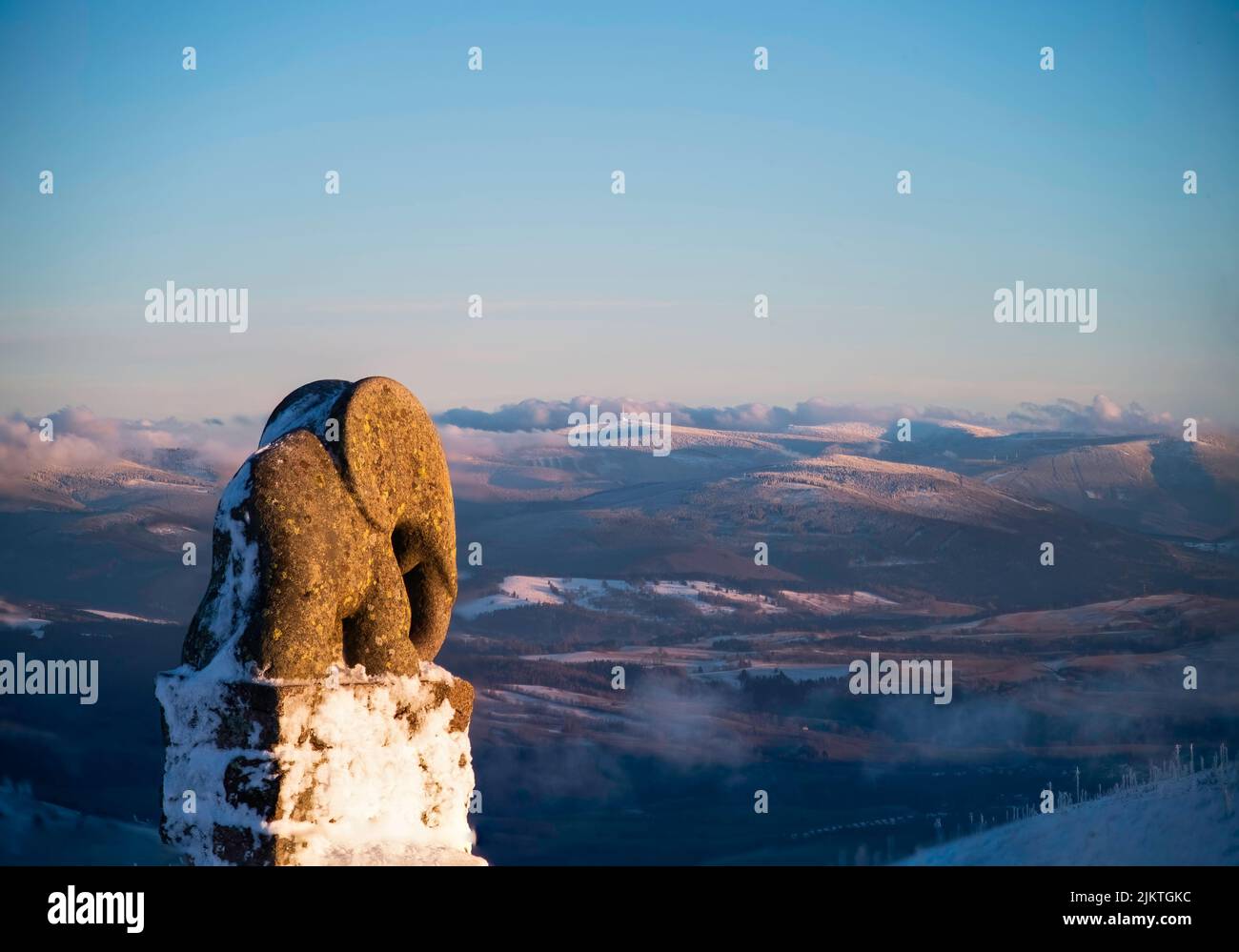 Un primo piano di una statua di elefante di pietra su un posto a Jesenik, Repubblica Ceca in inverno Foto Stock
