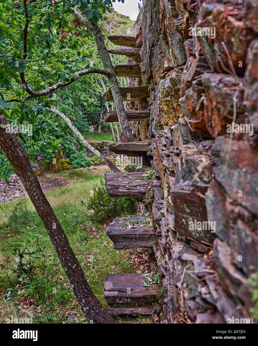 Un colpo verticale di vecchie scale di scisto attaccate ad una parete di legno nel Geopark di Arouca Foto Stock