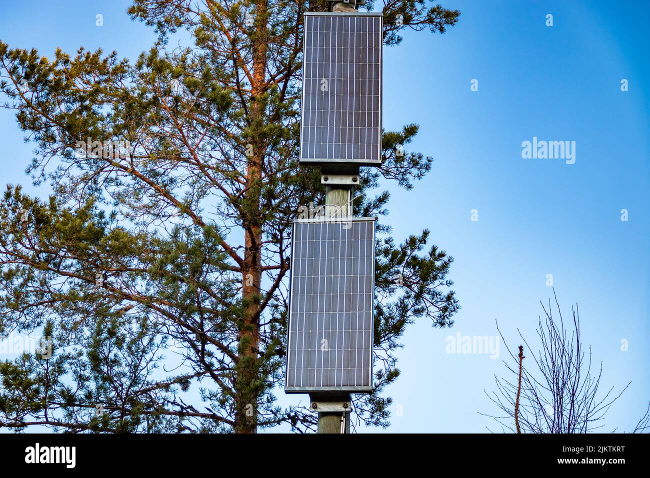 Pannelli solari per l'energia elettrica indipendente orientata al futuro montati su un palo di legno Foto Stock