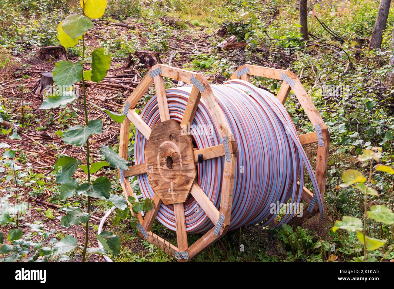 Posa di cavi di tendenza, cavi in fibra ottica posati in una trincea. Foto Stock