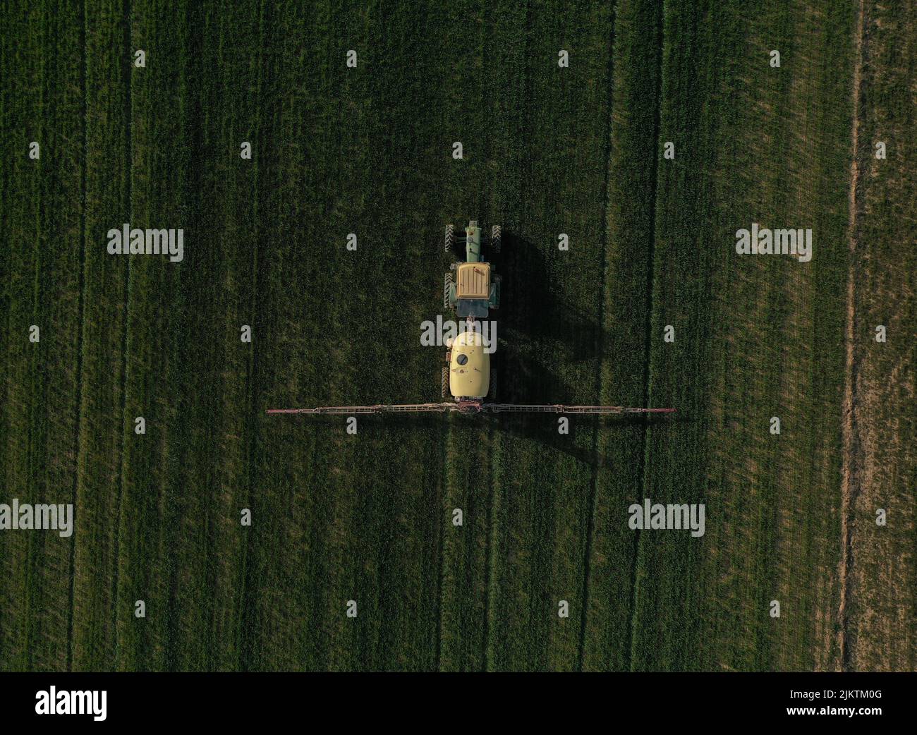 una ripresa aerea di un trattore che fertilizza un campo di coltura verde Foto Stock