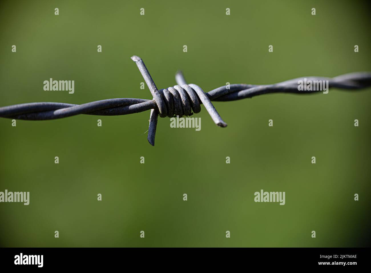 Primo piano di un filo spinato su sfondo verde. Foto Stock