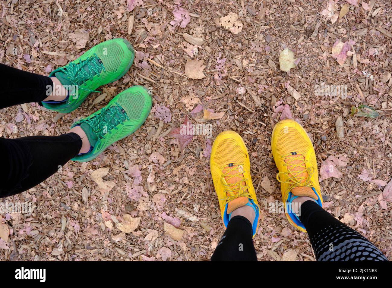 Una vista dall'alto dei piedi delle donne nelle sneakers verdi e gialle che esplorano il legno. Registra il tempo di viaggio con un amico Foto Stock