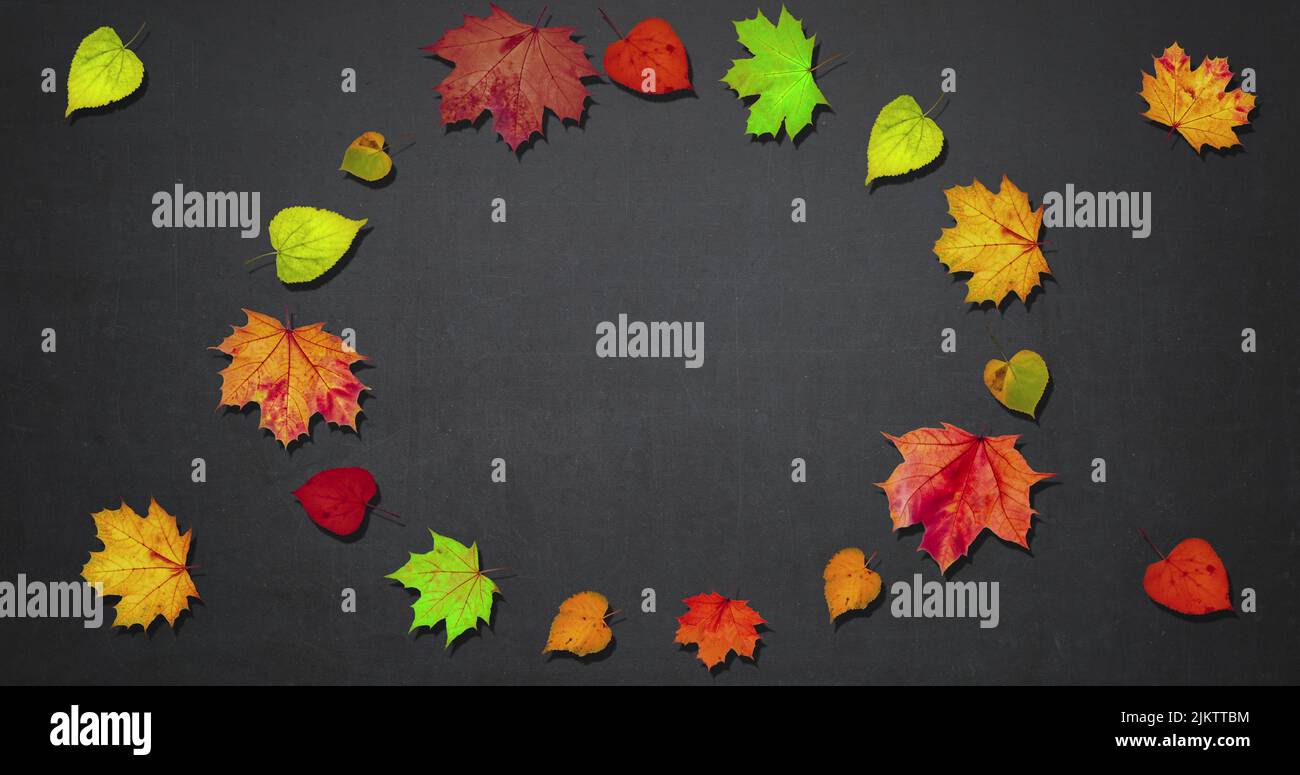 Cornice animata fatta di rotazione foglie d'autunno secco, spazio copia, felice giorno di ringraziamento concetto di fondo, sconto e vendita per questa vacanza Foto Stock