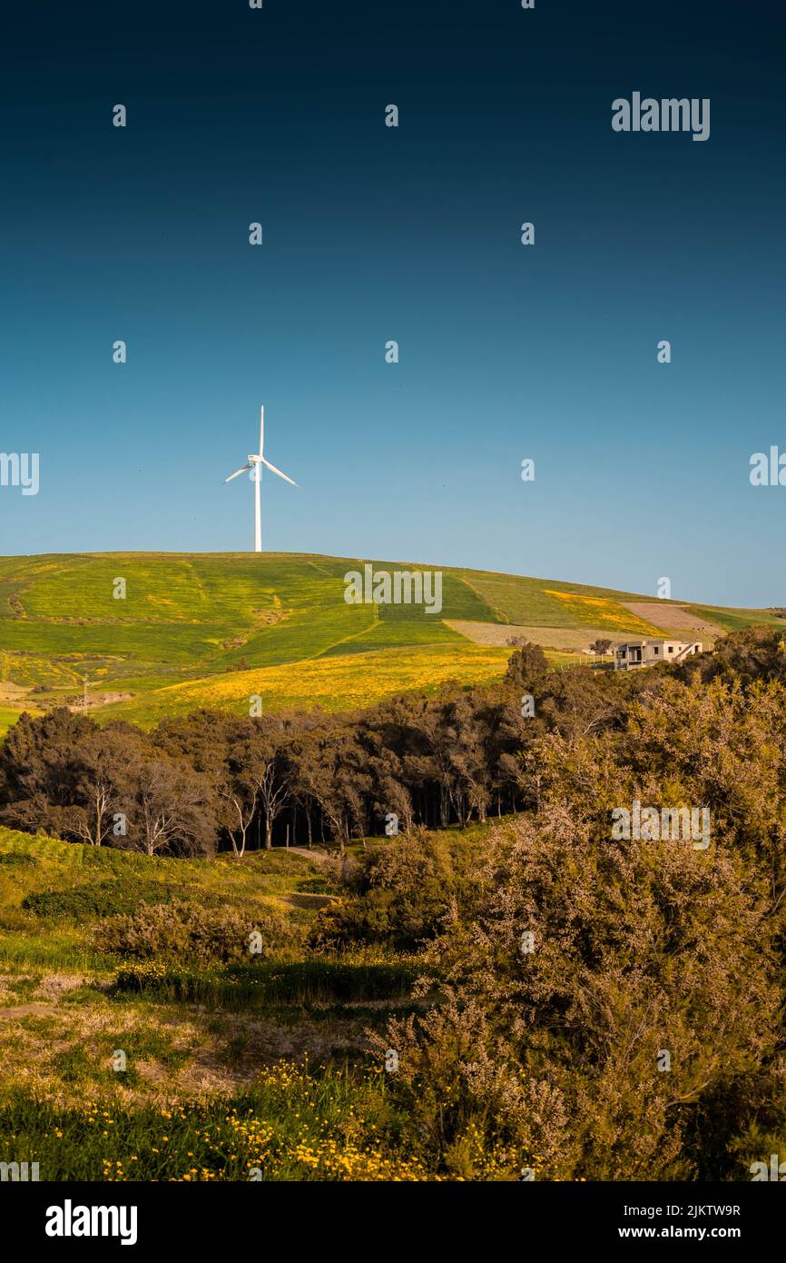 Un paesaggio primaverile con un mulino a vento sullo sfondo Foto Stock