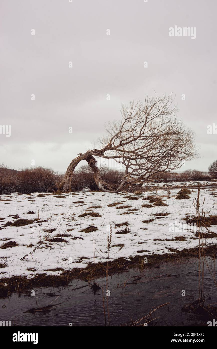 Uno scatto verticale di un paesaggio invernale di campagna con un ruscello che scorre in una terra innevata Foto Stock