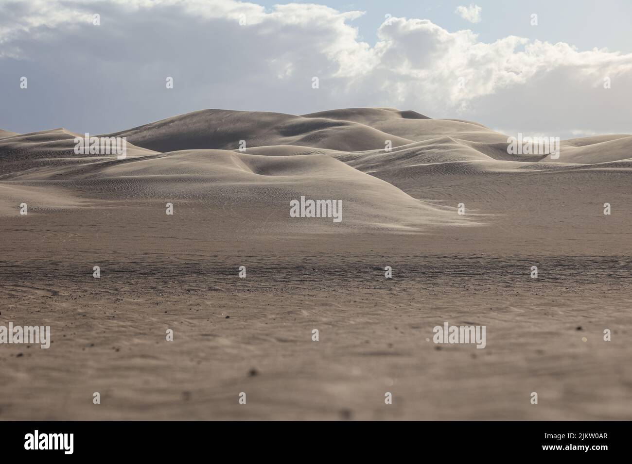 Formazioni in movimento delle dune di sabbia di Buttercup, una parte dell'area ricreativa delle dune di sabbia imperiali della California. Foto Stock