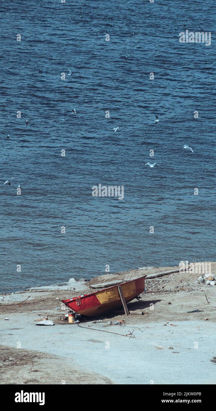 Una vecchia barca sulla costa e i gabbiani che volano sull'acqua Foto Stock