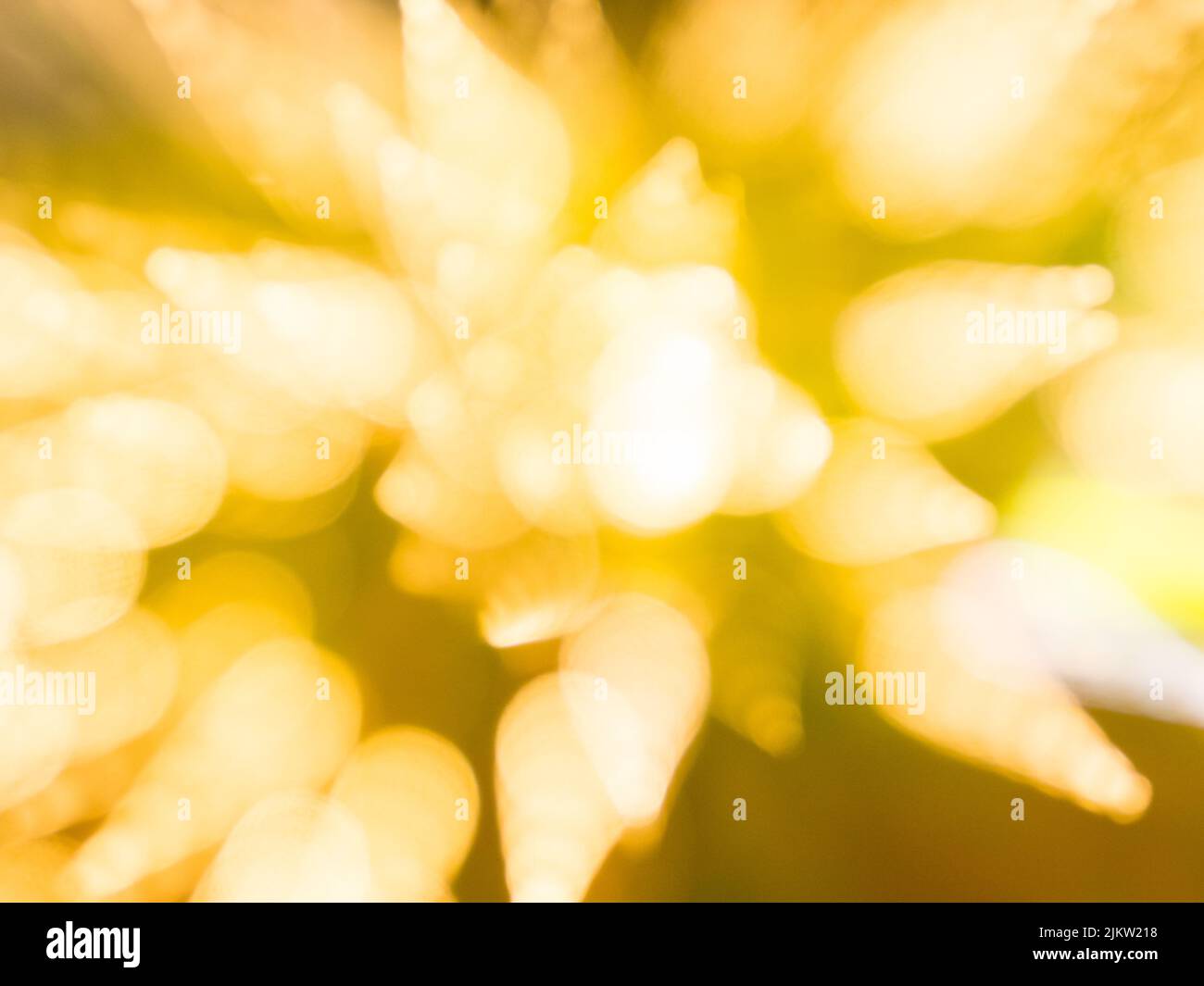 Un primo piano di luminose luci di Natale gialle e sfocate che brillano Foto Stock