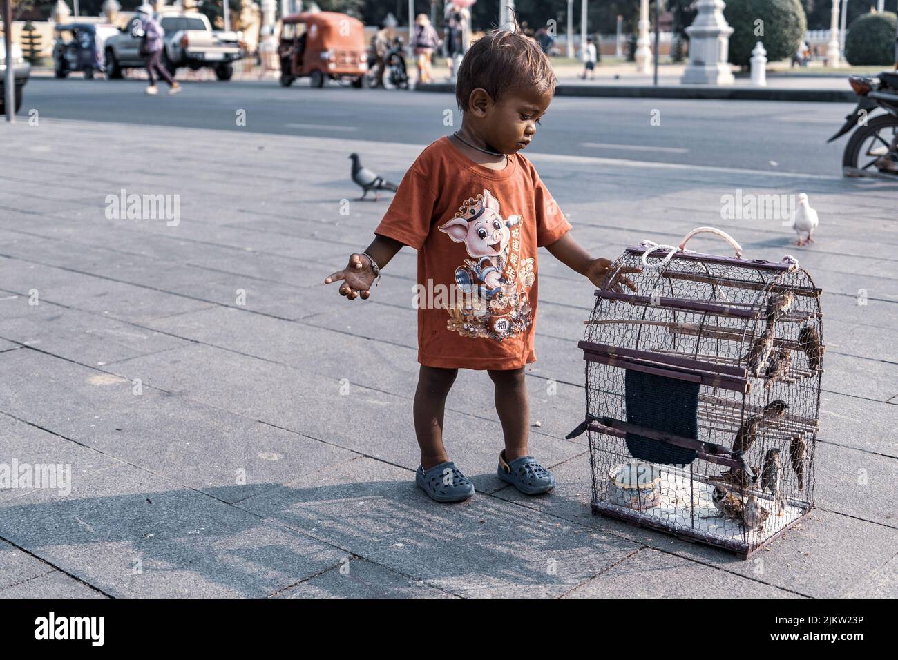 Un bambino che gioca con gli uccelli desiderosi, tenuto in gabbie vicino ai santuari, un rituale chiamato 'merit libering' Foto Stock