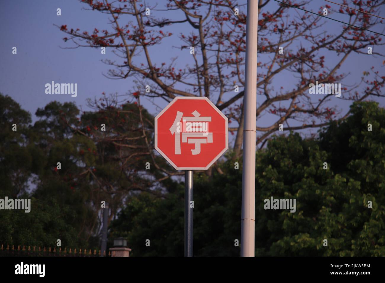 Un cartello rosso cinese con gli alberi sullo sfondo la sera Foto Stock