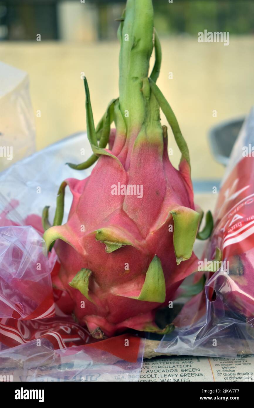 Un pitahaya o frutto del drago è il frutto del cactus. Il frutto del drago è coltivato in tutte le regioni tropicali e subtropicali del mondo. Foto Stock
