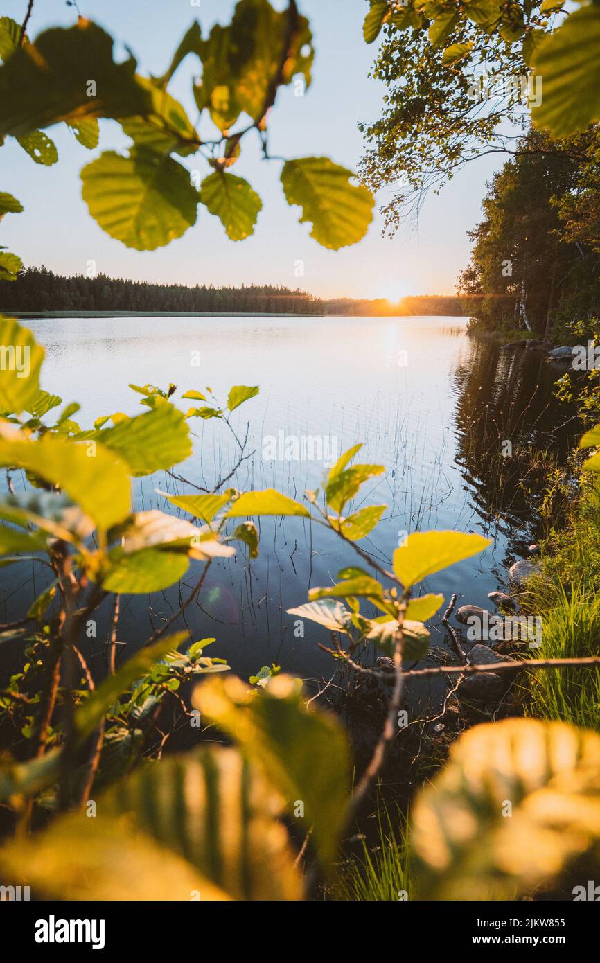Estate finlandese in piena azione Foto Stock