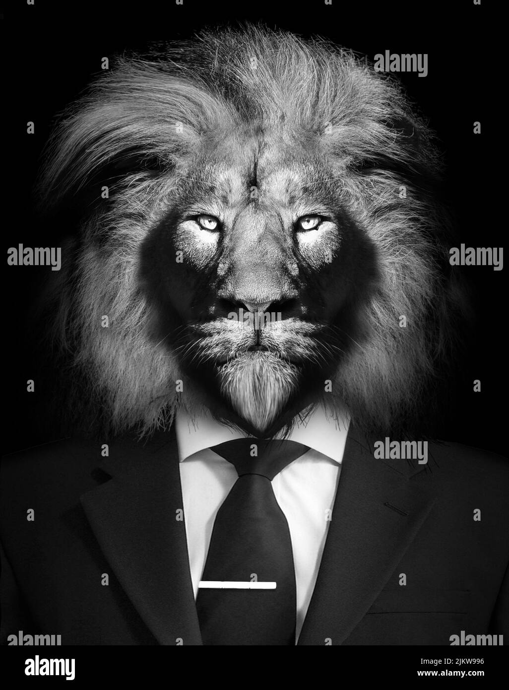 Un colpo in scala di grigi di un leone con un look di classe in un abito Foto Stock