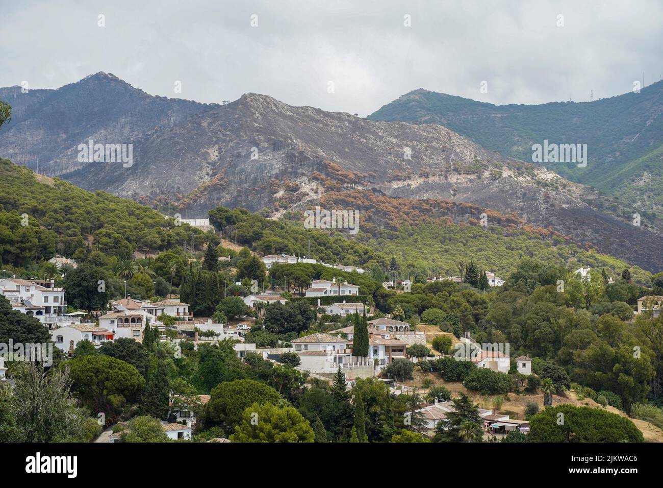 Charred catena montuosa della Sierra de Mijas, dopo un incendio, vicino alla zona urbana, Andalucia, Spagna. Foto Stock