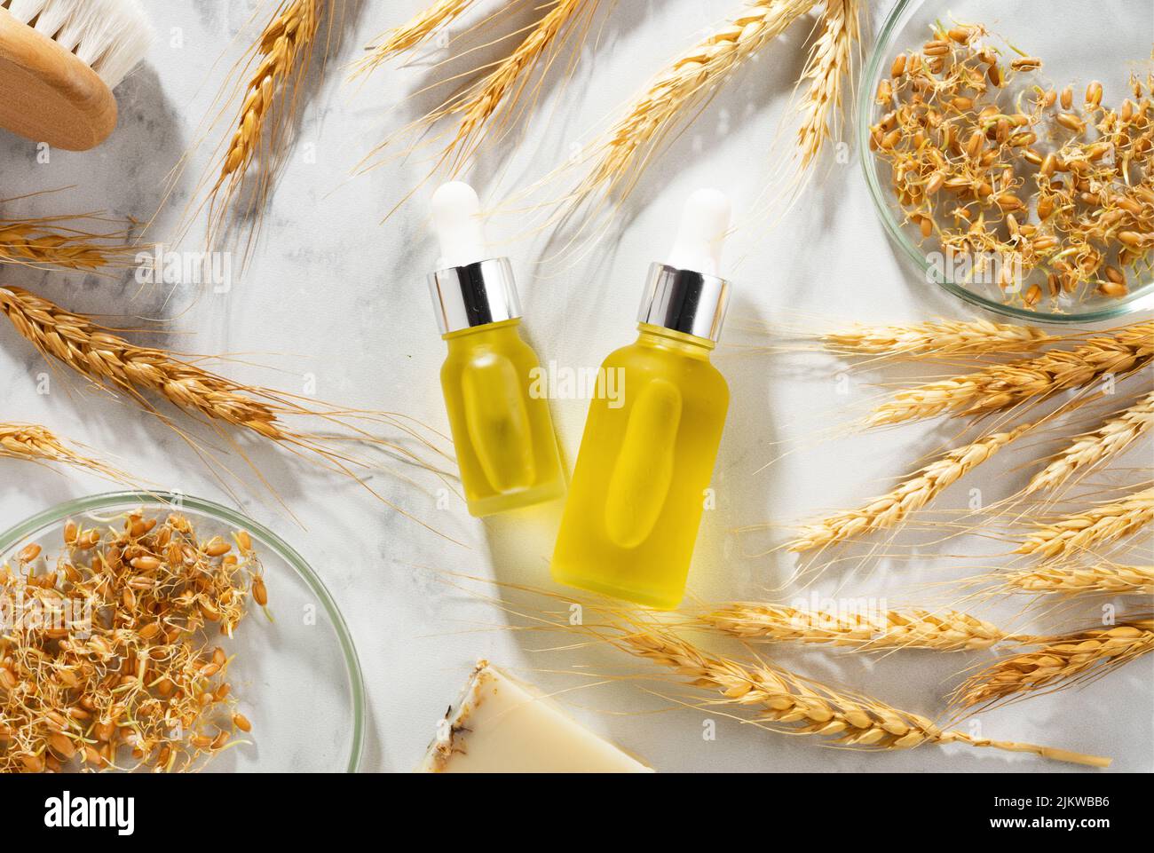 Composizione concettuale di oli di germe di grano e germe di grano su una tavola di marmo. Olio con siero per la cura della pelle e dei capelli. Bottiglie di olio per il corpo con una pipetta Foto Stock