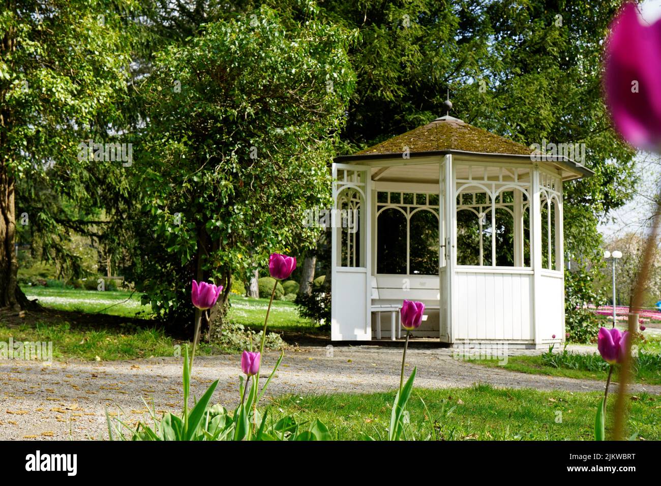 La vista dei fiori e del giardino da visitare a Westfalenpark, Dortmund, Renania settentrionale-Vestfalia Foto Stock