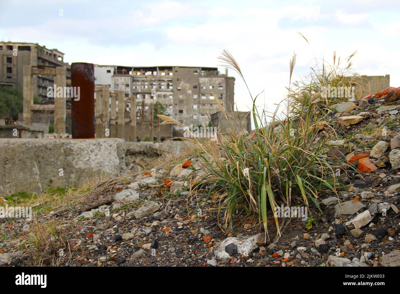 Un'area di erba sta crescendo da detriti con vecchi edifici sullo sfondo dell'isola di Hashima Gunkanshima in Giappone Foto Stock