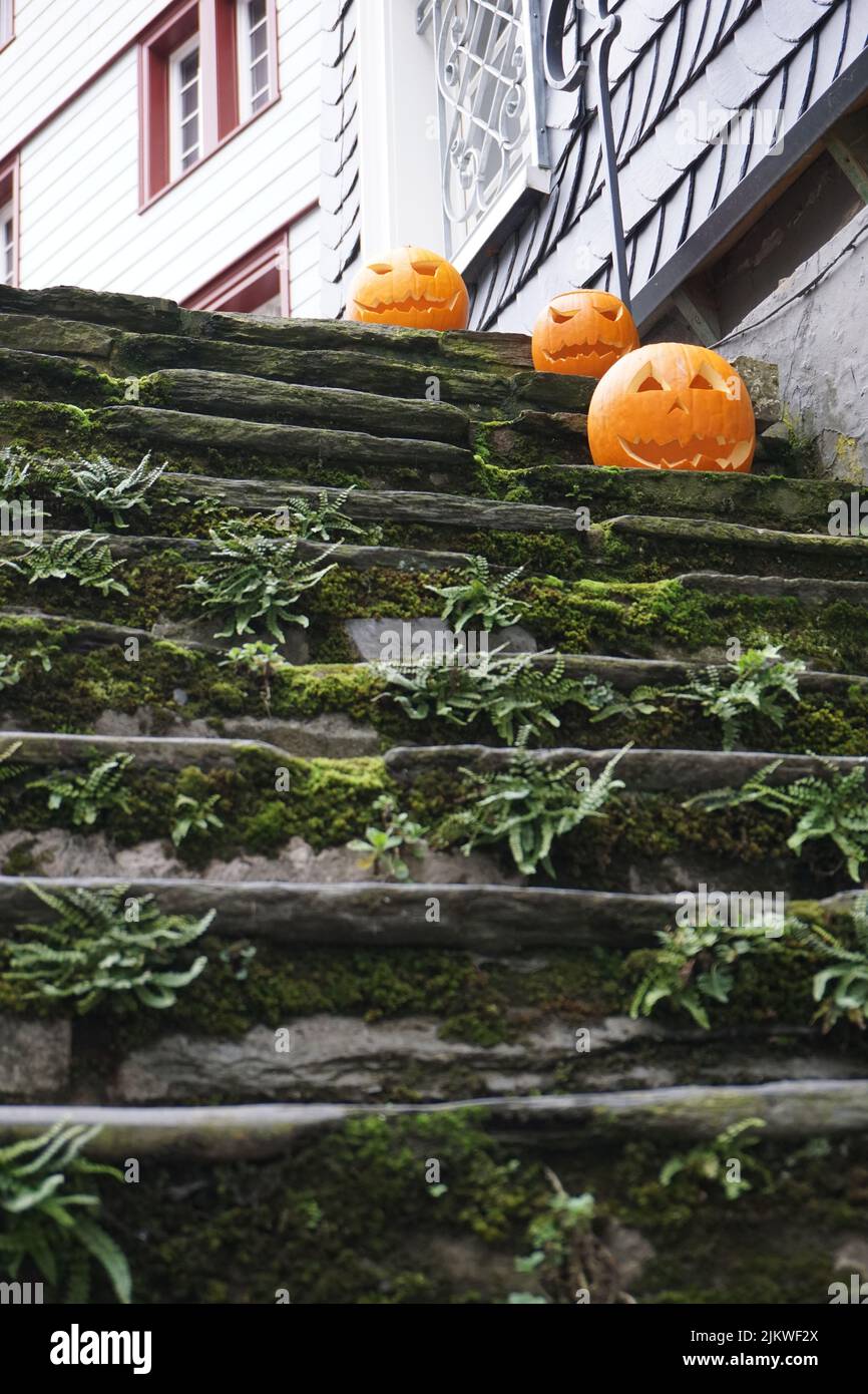 Le zucche di Halloween sulle scale mossy di una casa a Monschau, Northrhine Westfalia, Germania Foto Stock