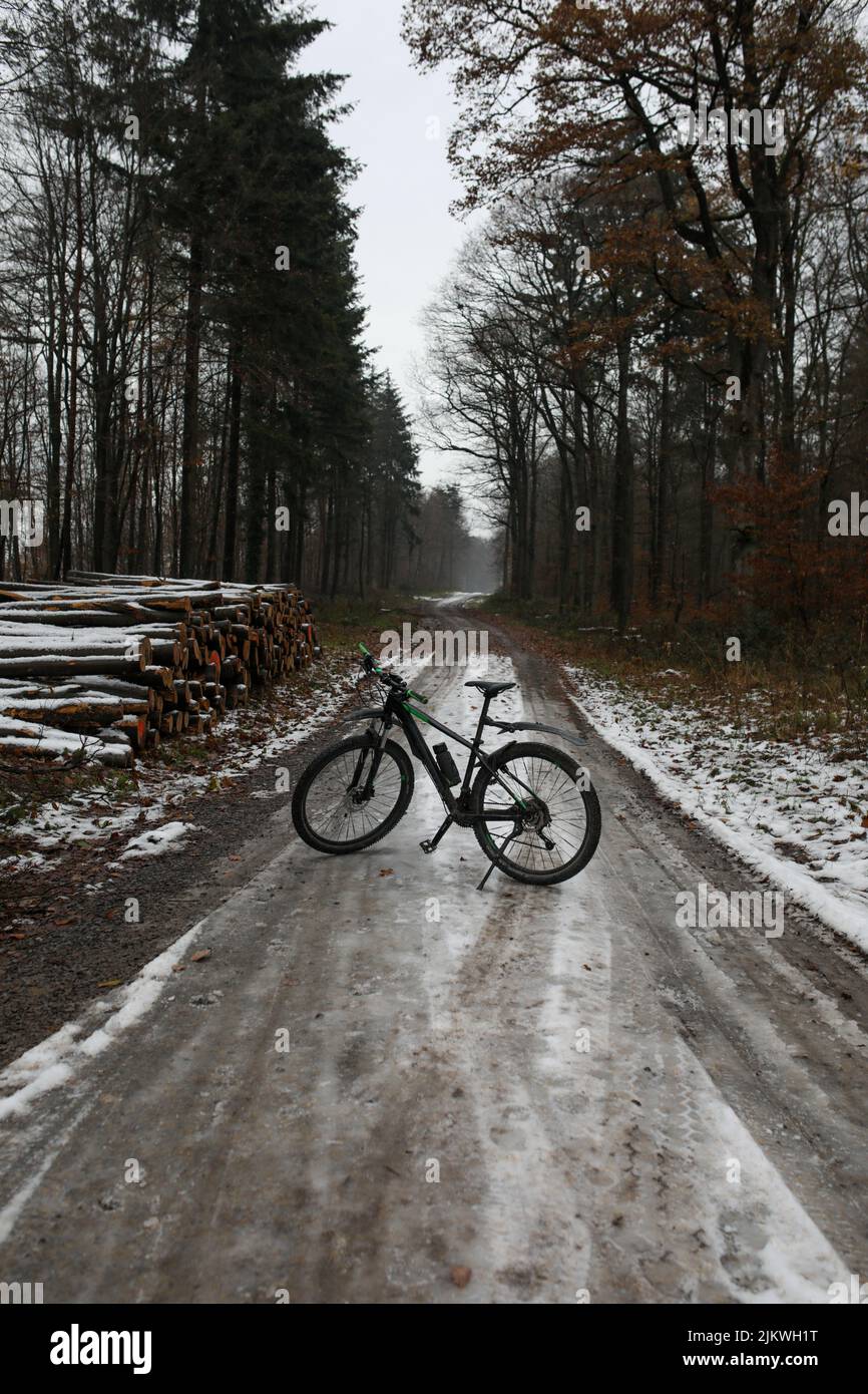 Uno scatto verticale di una bicicletta nel mezzo di una strada in una foresta in inverno Foto Stock