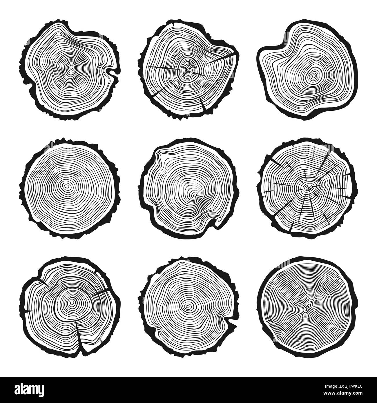 Tagli di tronco di albero tondo con crepe, segato pino o fette di quercia, legname. Legname tagliato da poco, legno. Tessitura di legno con anelli di albero. Schizzo disegnato a mano. Vettore Illustrazione Vettoriale