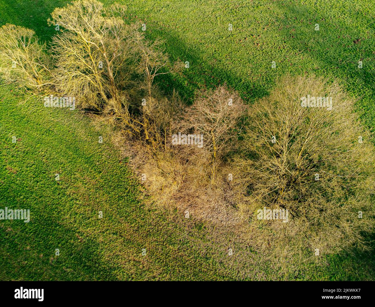 Una vista aerea dall'alto di un paesaggio di campagna con alberi e terre verdi Foto Stock