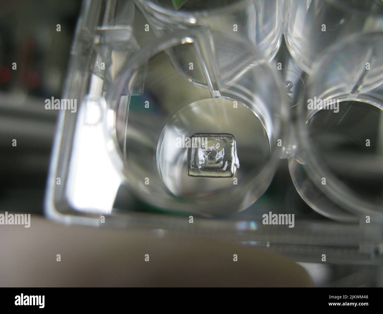 Bioprinting, una fabbricazione artificiale di tessuti biologici che permette la medicina rigenerativa, possiamo vedere la struttura impressa nel pozzo. Foto Stock