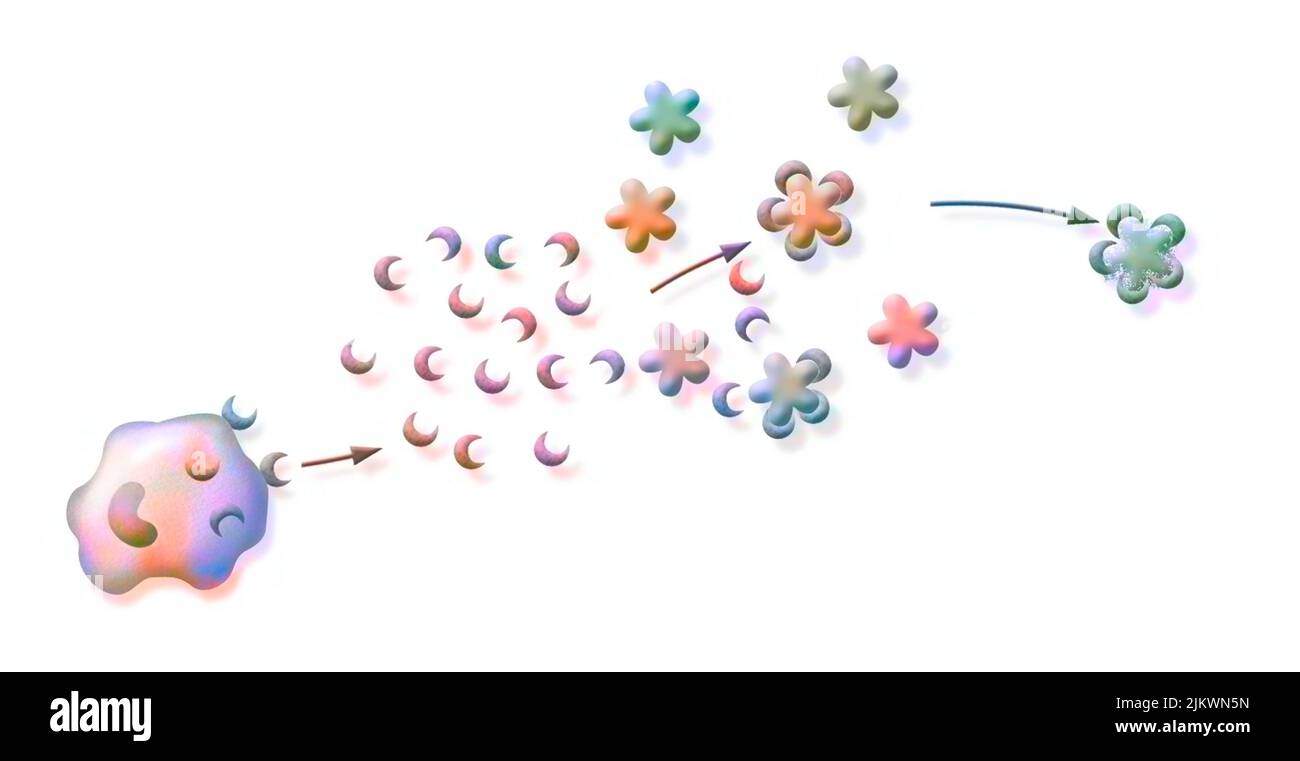 Reazione immunitaria: Distruzione del virus della bronchite da anticorpi. Foto Stock