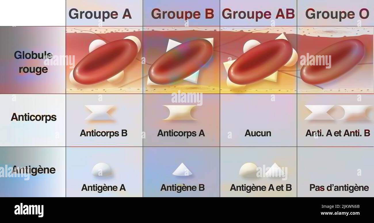 Antigene del gruppo sanguigno immagini e fotografie stock ad alta  risoluzione - Alamy