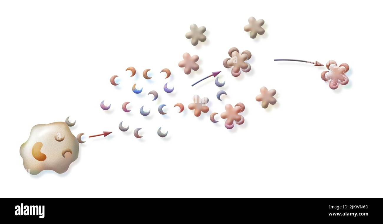 Reazione immunitaria: Distruzione del virus della bronchite da anticorpi. Foto Stock