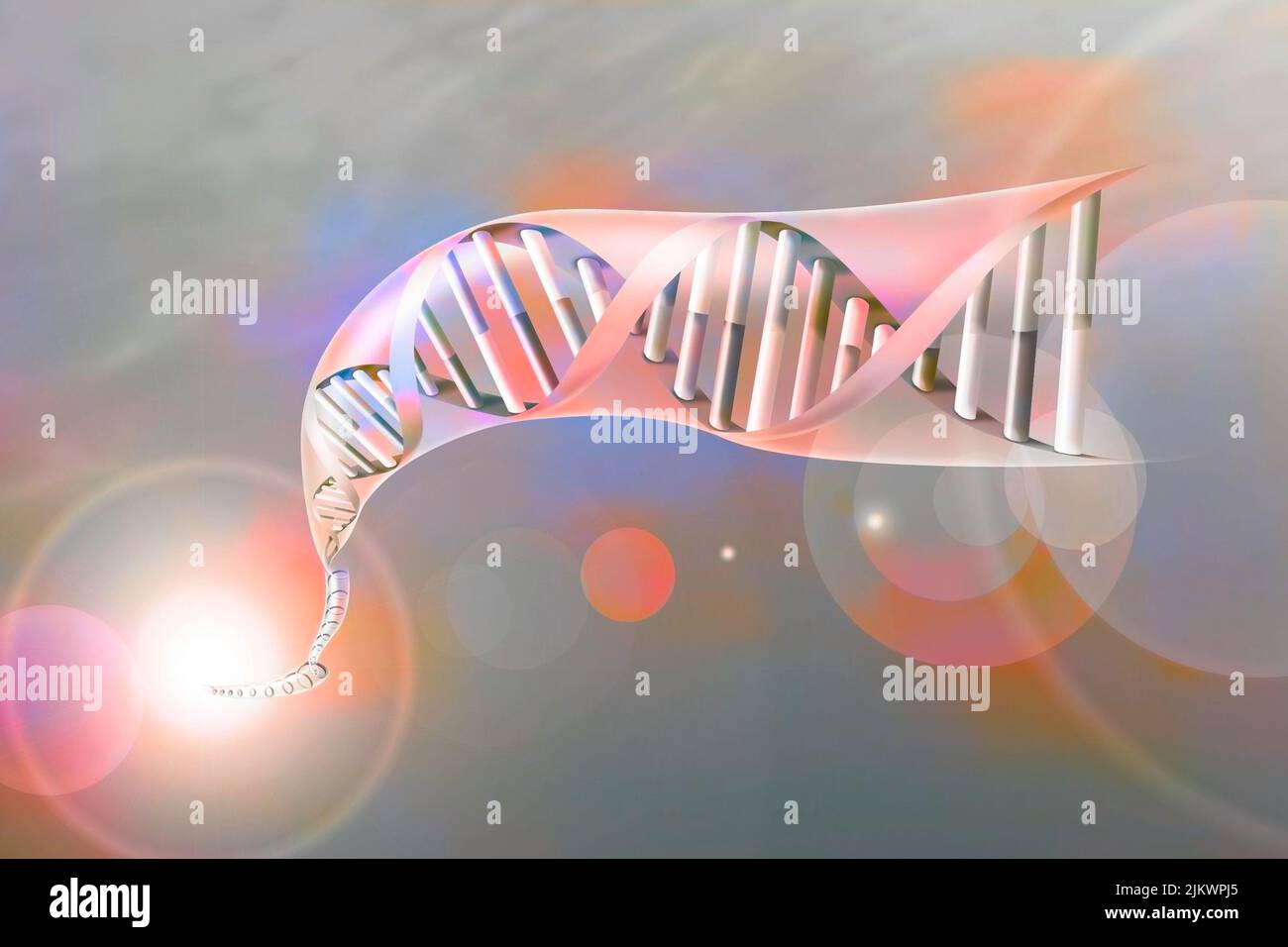 Doppia elica di DNA con le basi nucleotidiche: Adenina, timina, citosina e guanina. Foto Stock