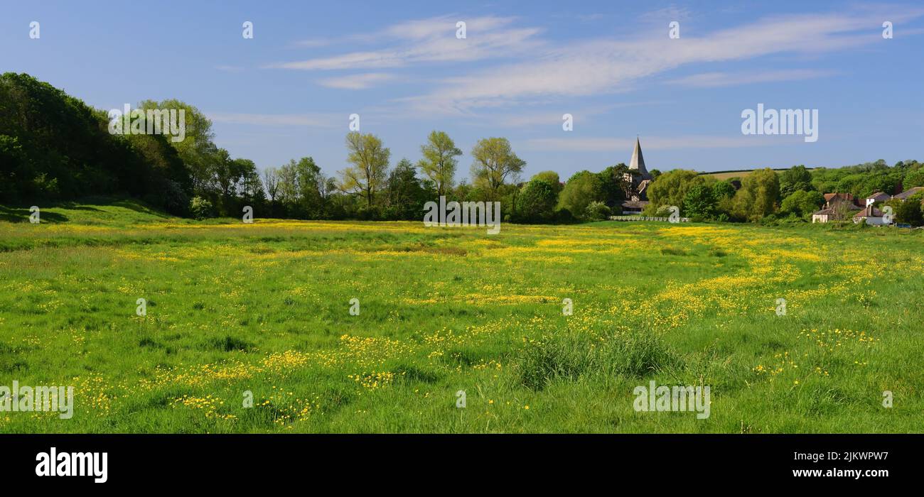 Le farfalle nella valle del fiume Cuckmere e la guglia della chiesa di Saint Andrews ad Alfriston, Sussex orientale. Foto Stock