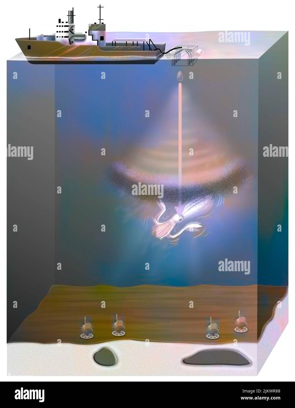 Il cannone invia un'onda per trovare olio che disturba il calamaro. Foto Stock