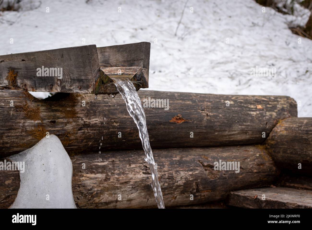 Un primo piano di sorgente Santa nella periferia di Mosca, Russia Foto Stock