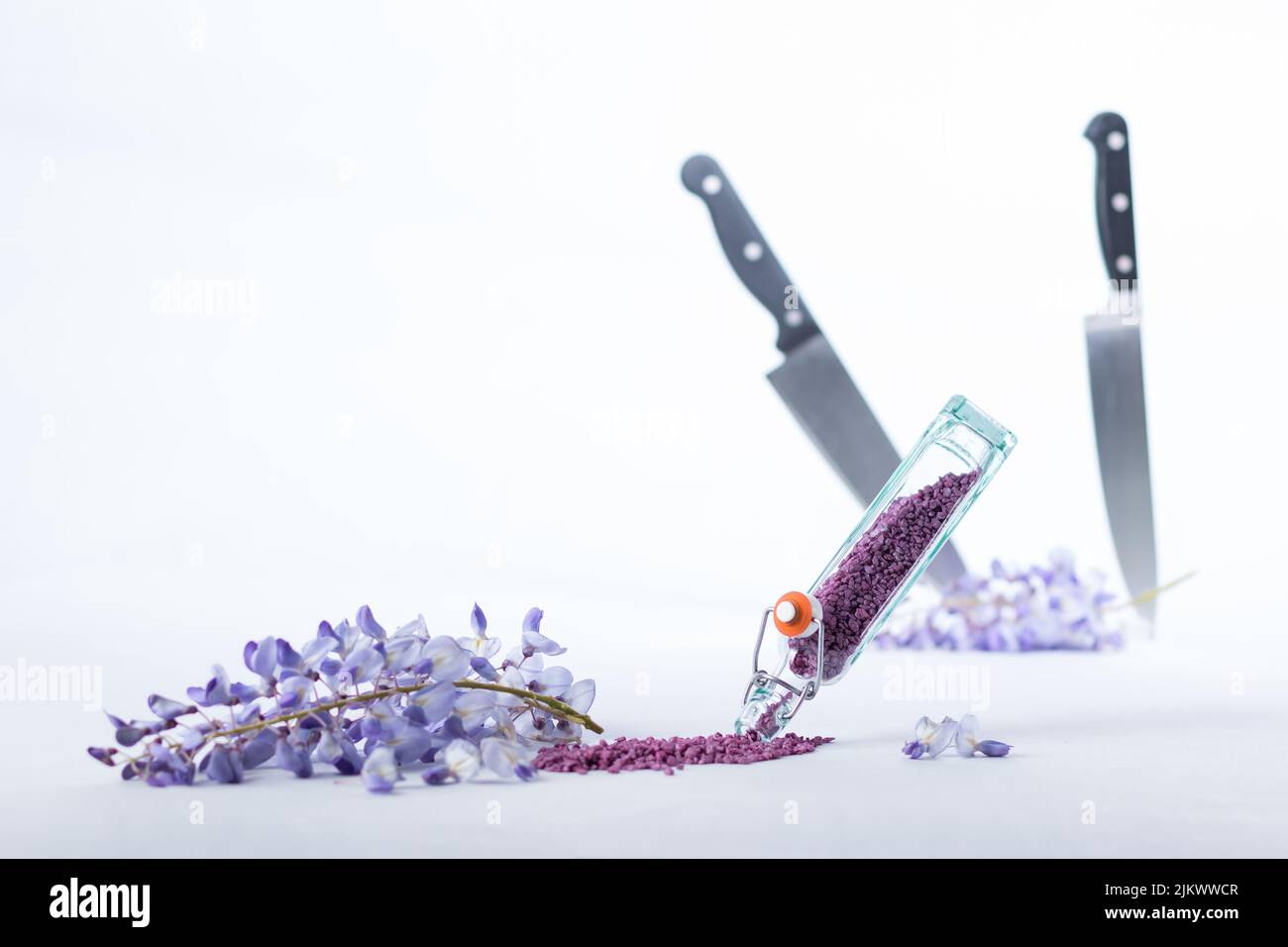 Immagine orizzontale di un mazzo di glicine in una piccola bottiglia di essenza colorata su sfondo bianco con coltelli affilati. Foto Stock