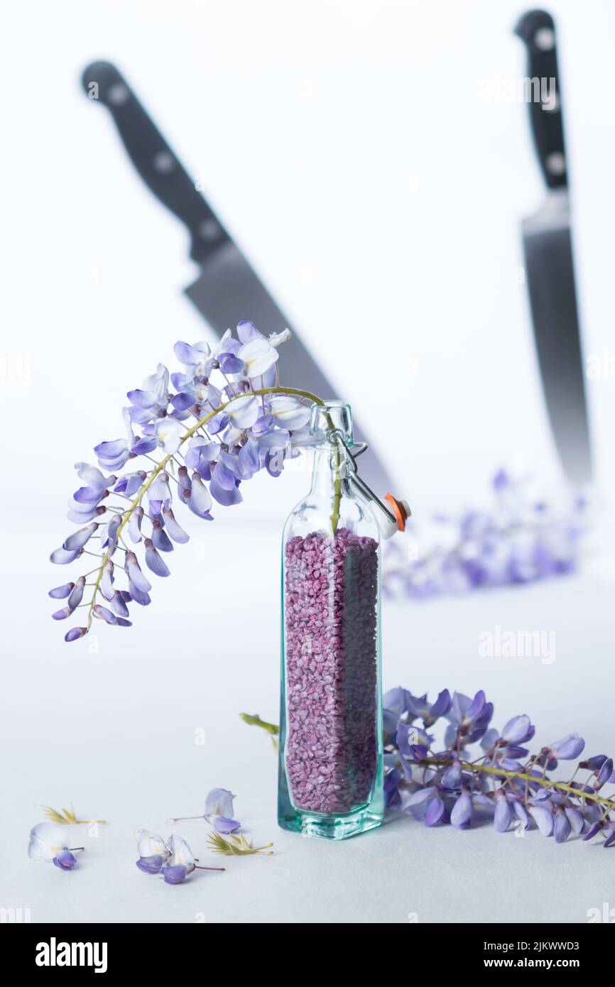 Immagine verticale di un mazzo di glicine in una piccola bottiglia di essenza colorata su sfondo bianco con coltelli affilati. Foto Stock