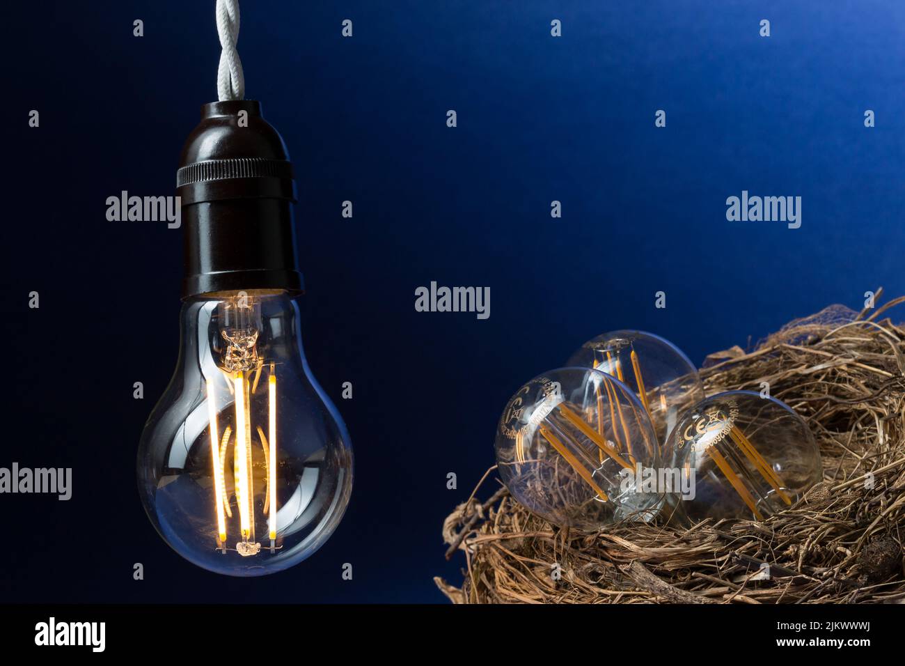 Primo piano di una lampadina LED illuminata che riscalda tre piccole lampadine nel nido di un uccello su uno sfondo nero e blu. Foto Stock