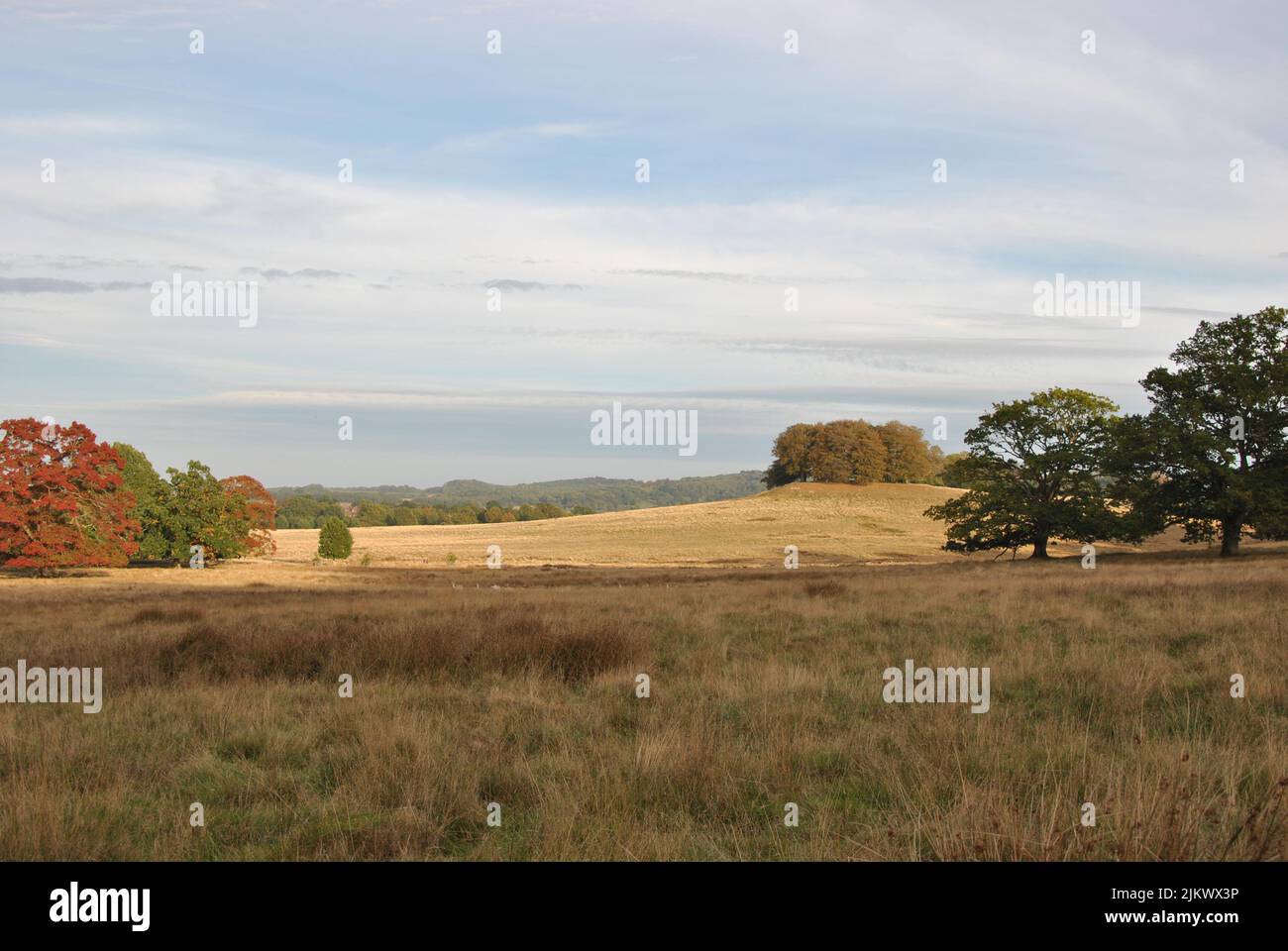 Un paesaggio di campo marrone sotto un cielo nuvoloso a Petworth Park, Regno Unito Foto Stock