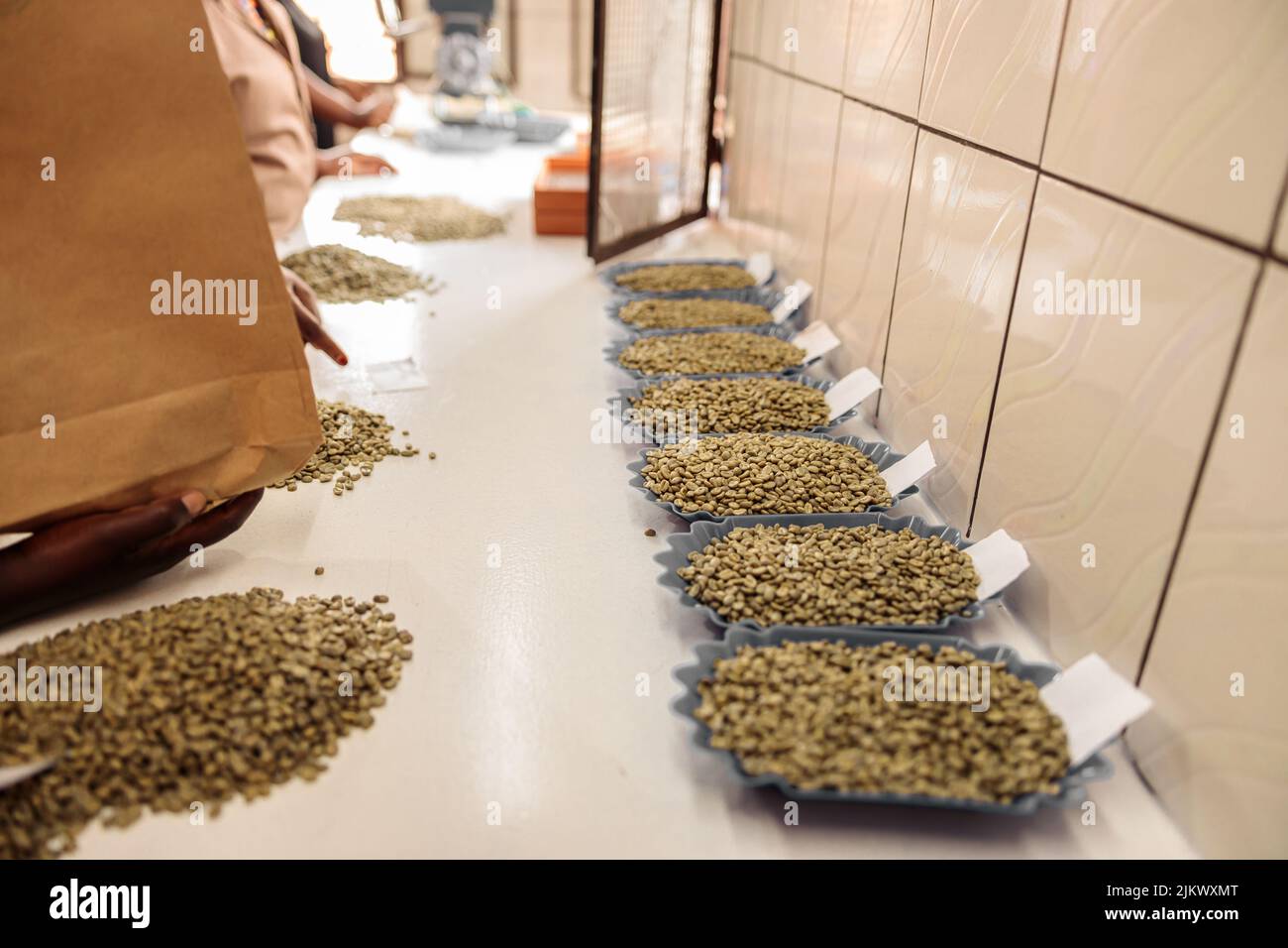 Ciotole con diversi tipi di chicchi di caffè in fila sul tavolo Foto Stock