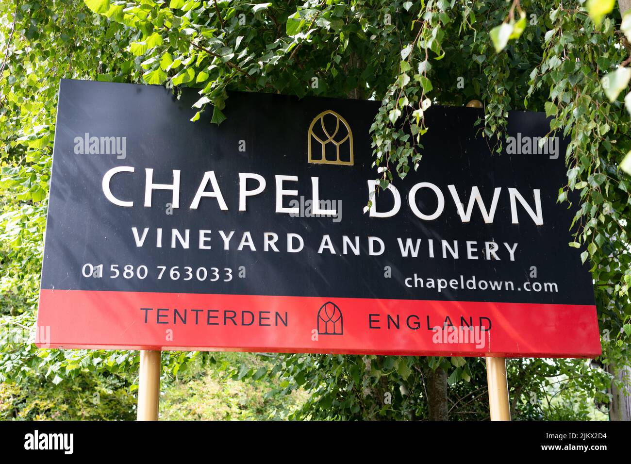 Chapel Down Vineyard and Winery, Tenterden, Ashford, Kent, Inghilterra, REGNO UNITO Foto Stock